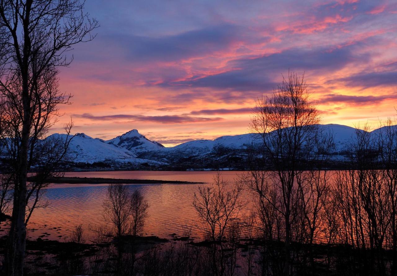 Hakoya Lodge Tromsø Dış mekan fotoğraf