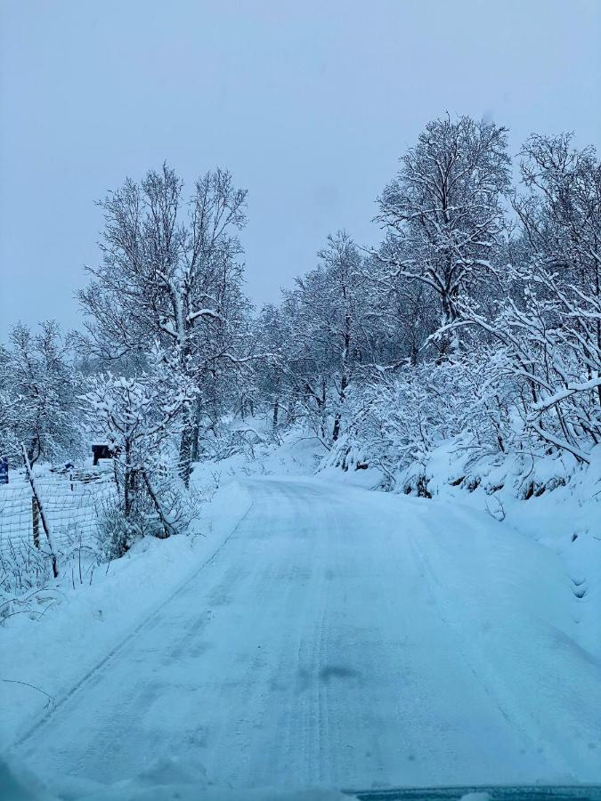 Hakoya Lodge Tromsø Dış mekan fotoğraf