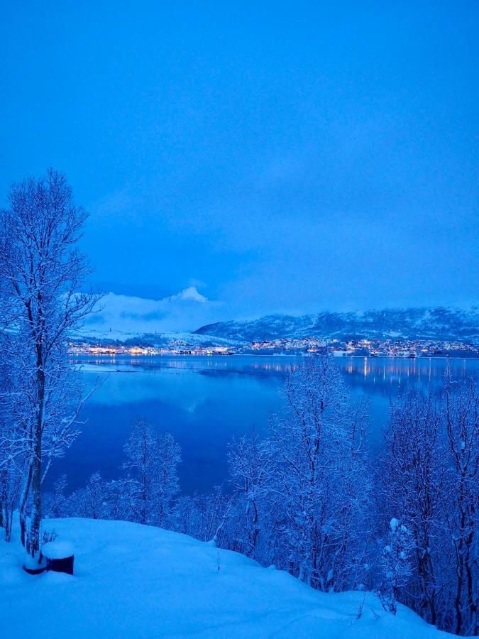 Hakoya Lodge Tromsø Dış mekan fotoğraf