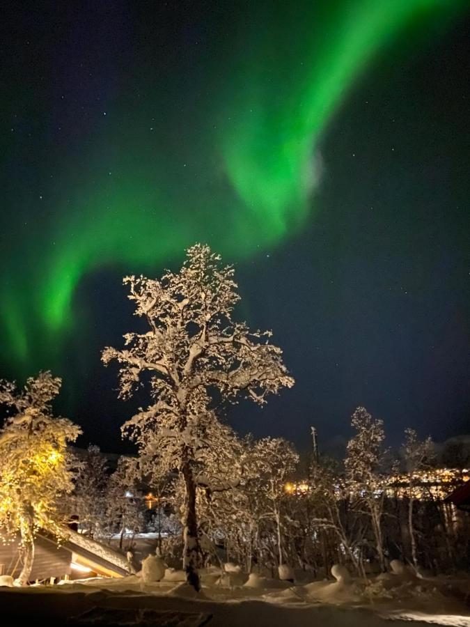 Hakoya Lodge Tromsø Dış mekan fotoğraf
