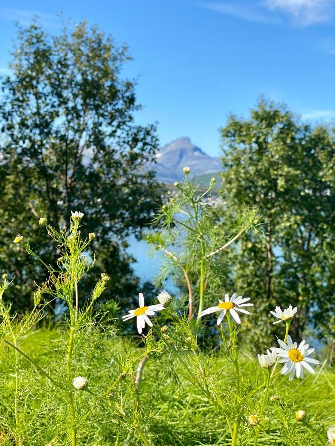 Hakoya Lodge Tromsø Dış mekan fotoğraf