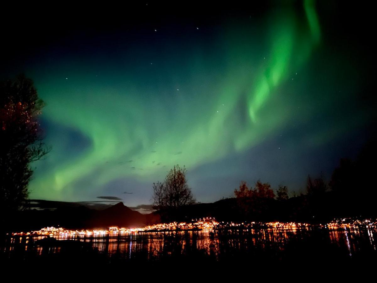 Hakoya Lodge Tromsø Dış mekan fotoğraf
