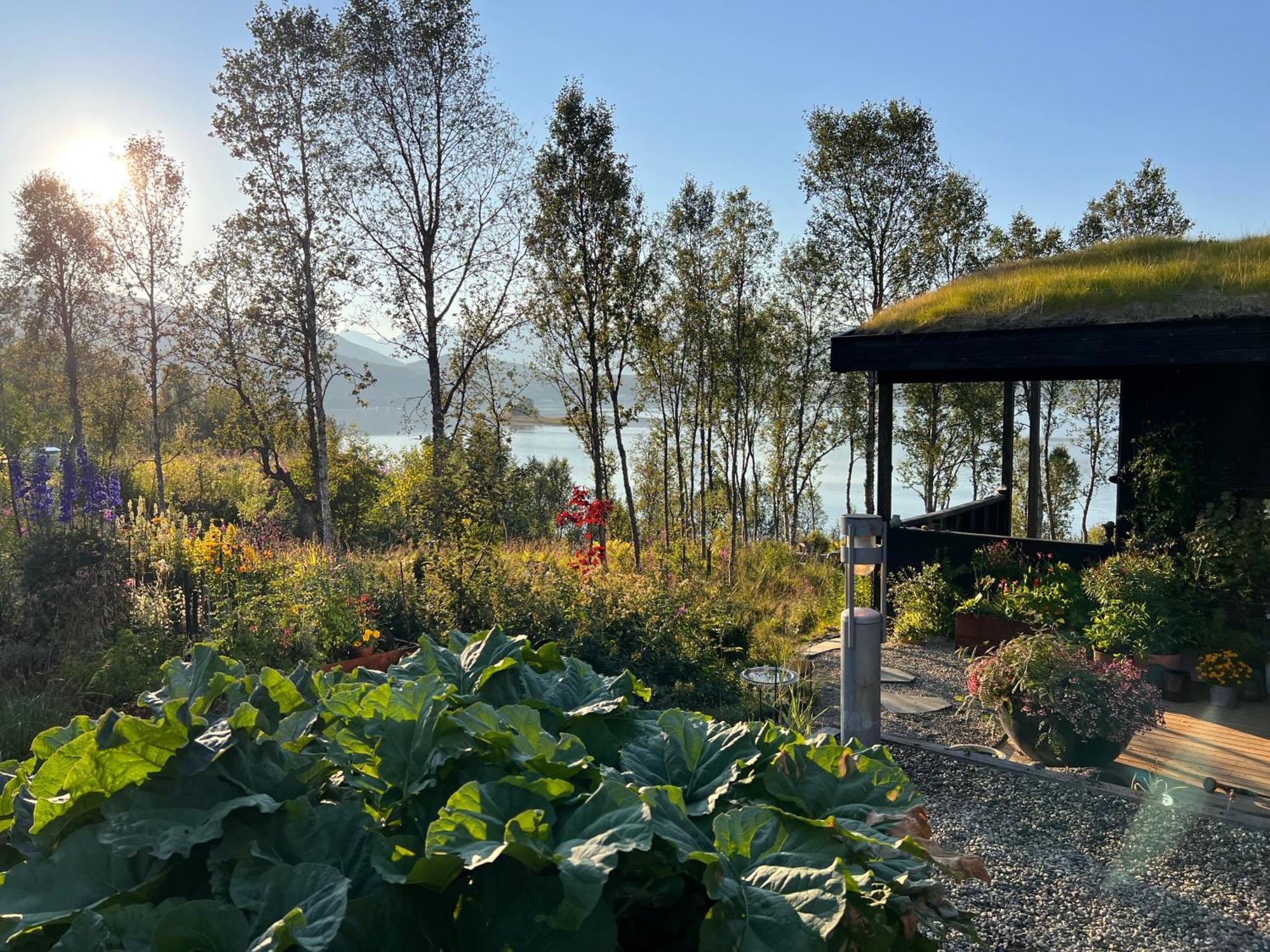 Hakoya Lodge Tromsø Dış mekan fotoğraf