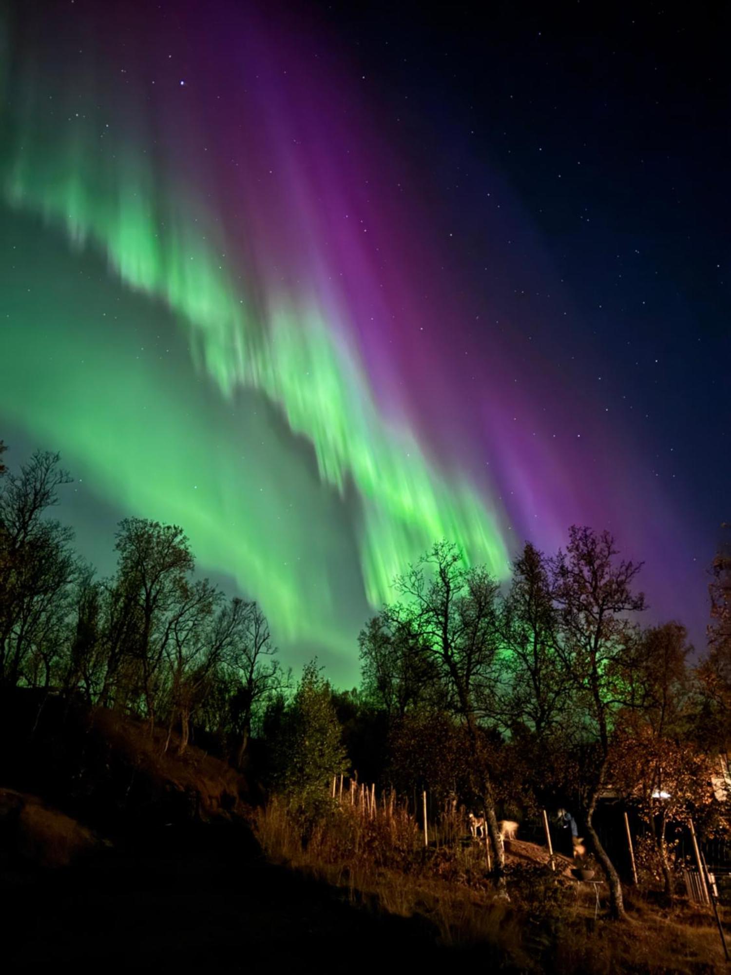 Hakoya Lodge Tromsø Dış mekan fotoğraf
