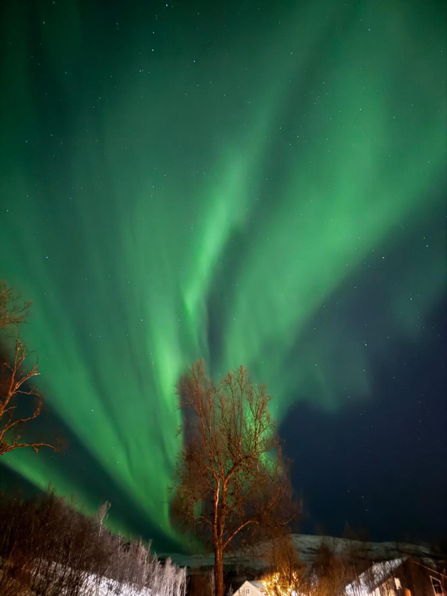 Hakoya Lodge Tromsø Dış mekan fotoğraf