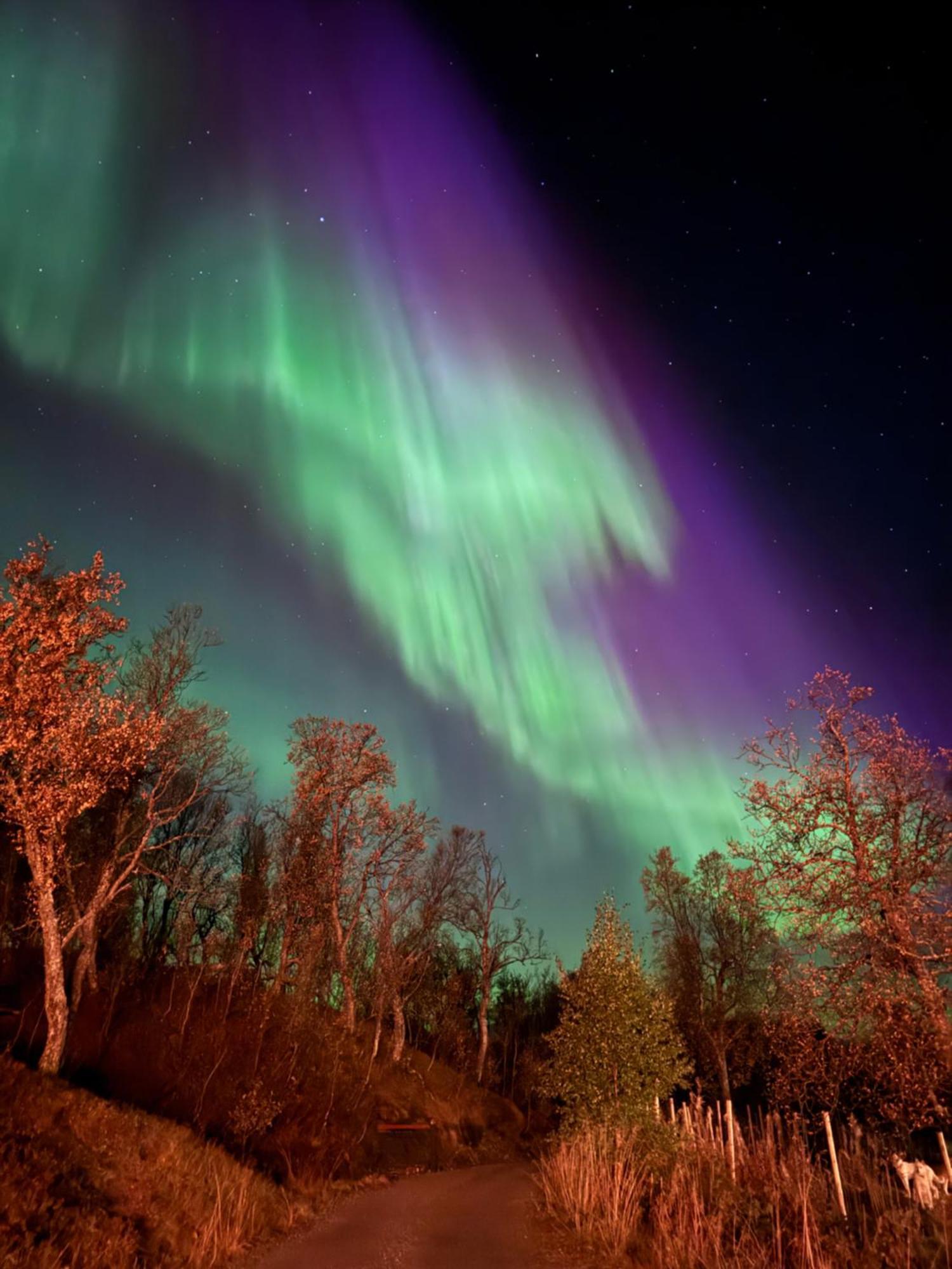 Hakoya Lodge Tromsø Dış mekan fotoğraf