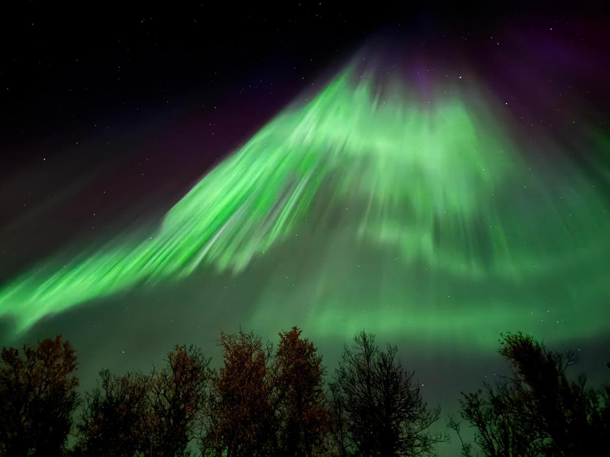Hakoya Lodge Tromsø Dış mekan fotoğraf