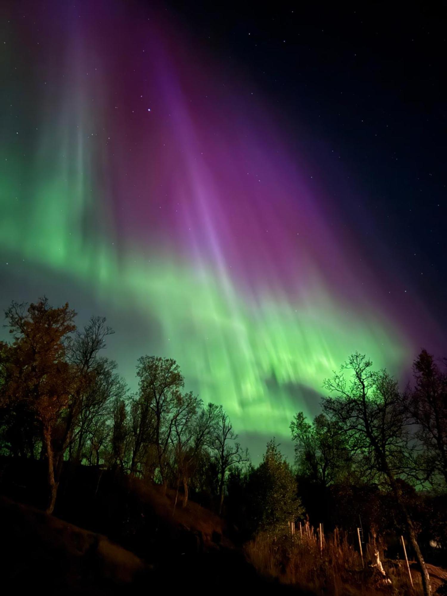 Hakoya Lodge Tromsø Dış mekan fotoğraf